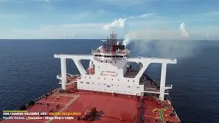 Pacific Excellence - ore carrier dwt 400000 tons