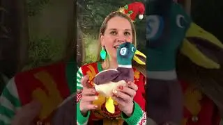Grow Your Channel with Streamyard and Puddles the Duck