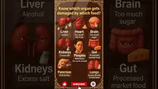 Know Which Organ Gets Damaged by Which Food | Eat Smart, Protect Your Organs #health #shorts