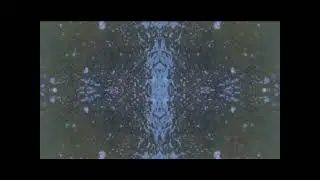 The Intemperance Three   Winterama