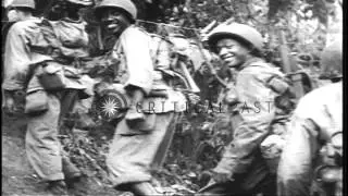 US African American soldiers advance through jungle in Bougainville Island, New G...HD Stock Footage