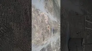 pak 3 jemur kura kura sulcata yang sakit MBD
