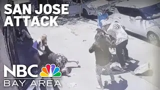 Caught on camera: San Jose business owner attacked