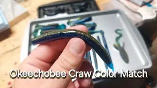 Okeechobee Craw Color Match