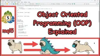 Introduction to Object Oriented Programming (OOP) in MetaTrader Programming (mql5)