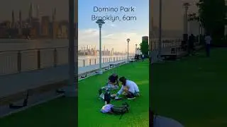 Domino Park 6am DJ set