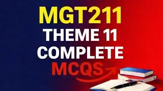 Mgt211 Theme 11