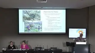Matthew Clark Deep learning detection of bird and amphibian species of the Cape Region, South Africa