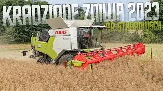 ✩ 🇵🇱 