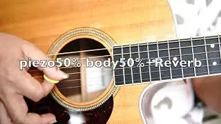 Martin DC--16OGTE  Roland COSM Preamp Test