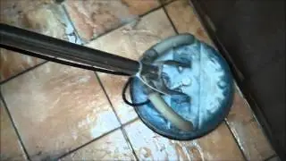 Learn about Tile and Grout - Appleby Cleaning 510-351-5230