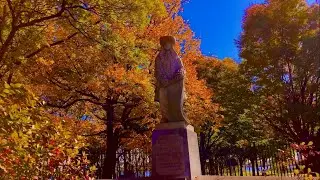 Fall Walk at Penn Treaty Park in Philadelphia🍁