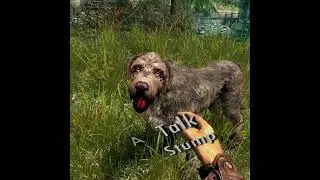 Can You Pet The Dog In Skyrim? #Shorts
