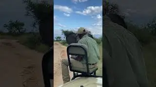 Playful Elephant Surprises Safari Tracker