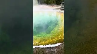 Morning Glory Pool, colored by bacteria! #yellowstonenationalpark #morningglory #hotspring