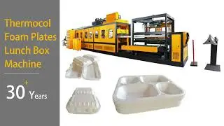 ps foam food container disposable thermocol plate box foam polystyrene plate machine