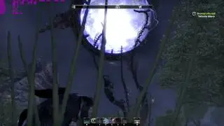 The Elder Scrolls Online : Oblivion gate open