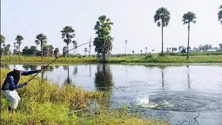 Single Hook Fishing✓Big Monster Fishes Catching ✓Rohu Fishes 8kg Giant Fishes ✓in River Catching