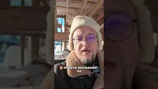 Биопоражение древесины