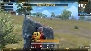 Angryn gaming
