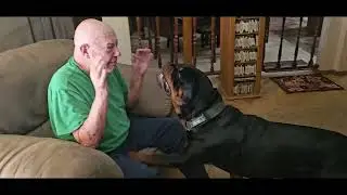 Bear Meets Poppa