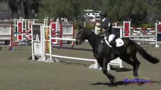 004S Leah Breakey on Master King II Advanced Show Jumping Copper Meadows March 2017