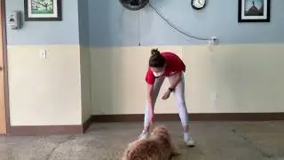 Maria The Dog Trainer & Nico 10/15/2020