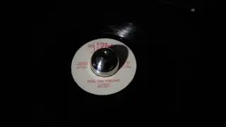 Bob Andy - Feel The Feeling