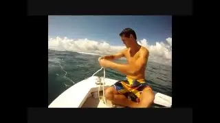 Surf Trip - Mauritius.wmv