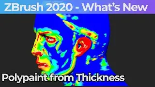 036 Zbrush 2020 Polypaint From Thickness