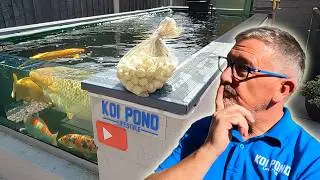 KOI POND WATERFALL adding Bio Media, PLUS a new product for CLEANING MY POND WINDOW and More!😉👍