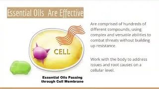 Living Well Together - dōTERRA and Certified Pure Tested Grade Essential Oil Wellness Products