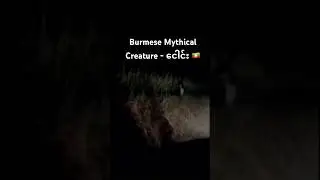 Burmese Mythical Creature - ငေါင်း 🇲🇲 #shorts #horrorshorts #ghost #ငေါင်း