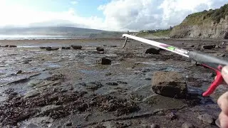 RFH005   ROBIN HOODS BAY Yorkshire