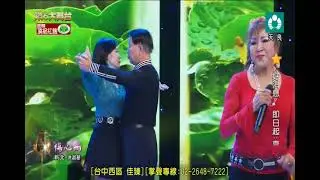 洪淑華˙傷心雨˙天 1802 260117