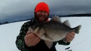 Ice Fishing For GIANT White Perch in New Hampshire
