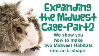 How to EXPAND the MIDWEST GUINEA PIG HABITAT CAGE | Part 2