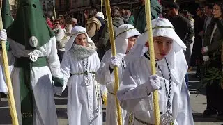 Semana Santa 2023 | Llegada de La Borriquilla a la plaza Mayor