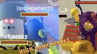 Nerf High Ranks