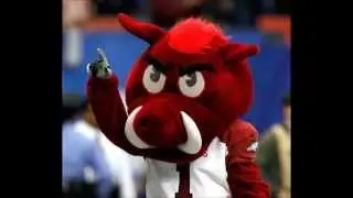 Arkansas Razorbacks 2014 - Welcome Back Hogs!!!