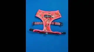 2x The Swagger | Lucy & Co. Reversible Harnesses