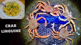 SPIDER CRAB - LINGUINE , Catching Big Spider Crabs in a Crab Wheel