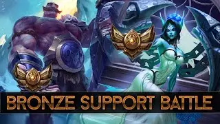 How to Bronze Support + Trick Specs Bronze Support Highlight