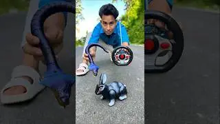 1 RC Snake🐍And 1 Rebbit Unboxing #shorts