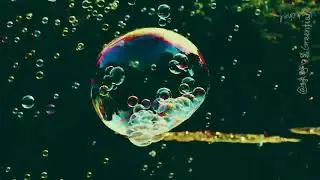 Hypnotic Bubble Symphony: Slow Motion Magic | Relaxing Escape，Blowing Bubbles in Summer Breeze