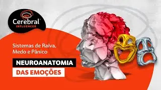Neuroanatomia das Emoções – Sistemas de Raiva, Medo e Pânico (Cerebral Influencer)