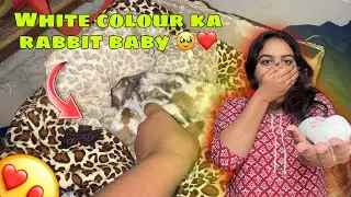 😱😱Jaadu He Hogya Ye Toh😱😱 || Sb Bhot Pyare Hai❤️🫶🏻🥰
