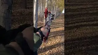 Compound slingshot bow🏹 #slingshots #bowandarrow #huntinggames #compoundbow