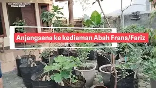 Kediaman Abah Fariz yang asri bak miniatur Botanic Garden Full Tanaman Buah 