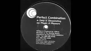 Perfect Combination - Playin 4 Pleasure